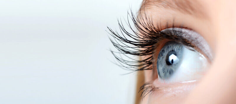 Close up of female eyes. 